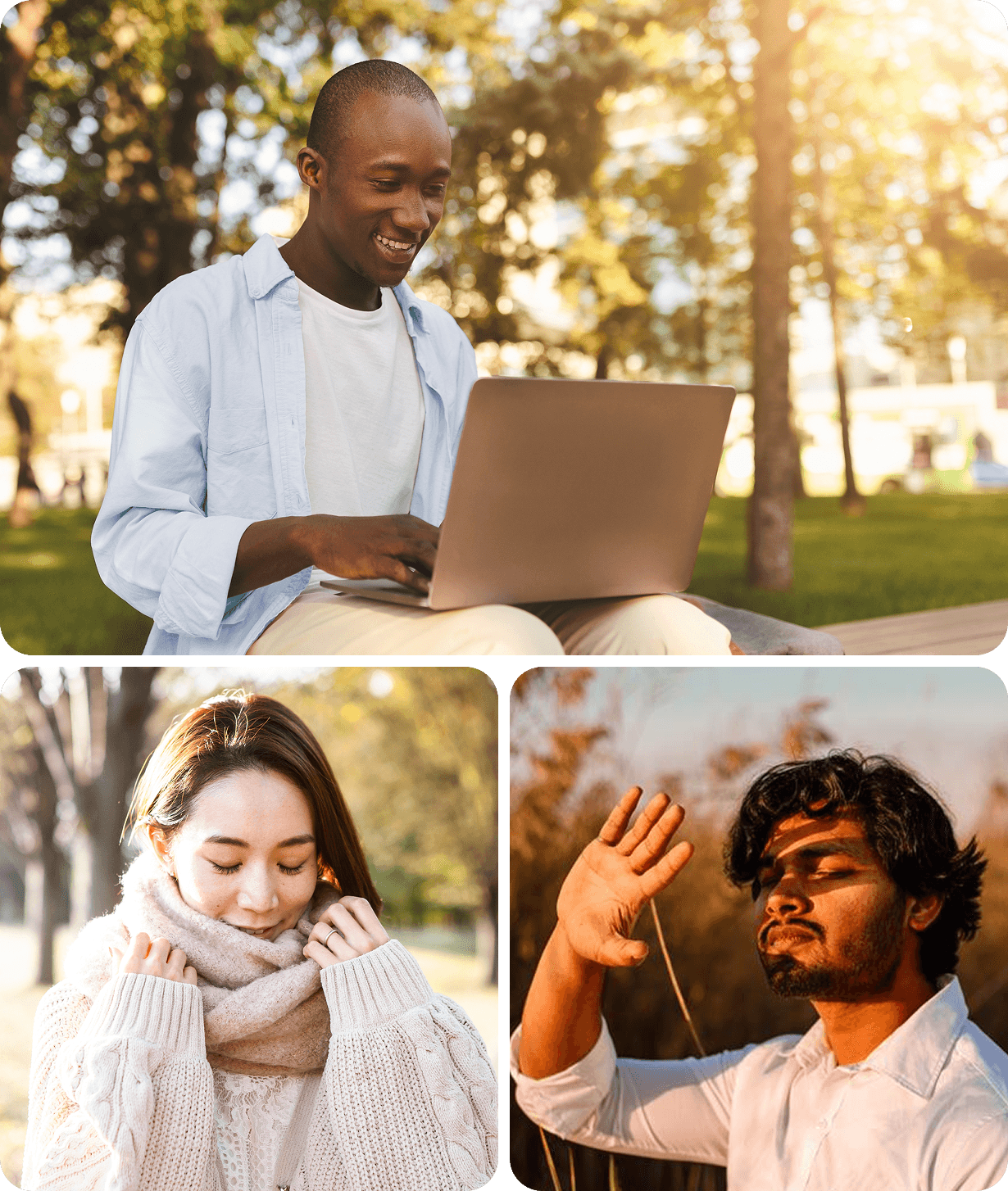 Computer, Electronics, Laptop
